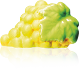 Fève Aclara Épiphanie 2027 - À l'intérieur du Tableau