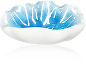 Fève Aclara Épiphanie 2027 - Beaux Coquillages