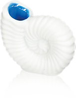 Fève Aclara Épiphanie 2027 - Beaux Coquillages