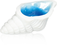 Fève Aclara Épiphanie 2027 - Beaux Coquillages