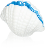 Fève Aclara Épiphanie 2027 - Beaux Coquillages