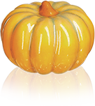 Fève Aclara Épiphanie 2027 - Le Potager du Roi