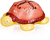 Fève Aclara Épiphanie 2027 - Petit Bijou de Tortue